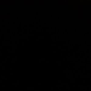 Meet your Posher, Darla